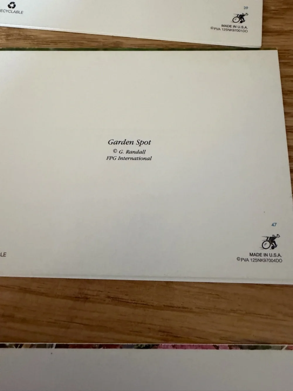 Vintage PVA Animal Greeting Cards Set of 6 Puppies & Kittens With Envelopes